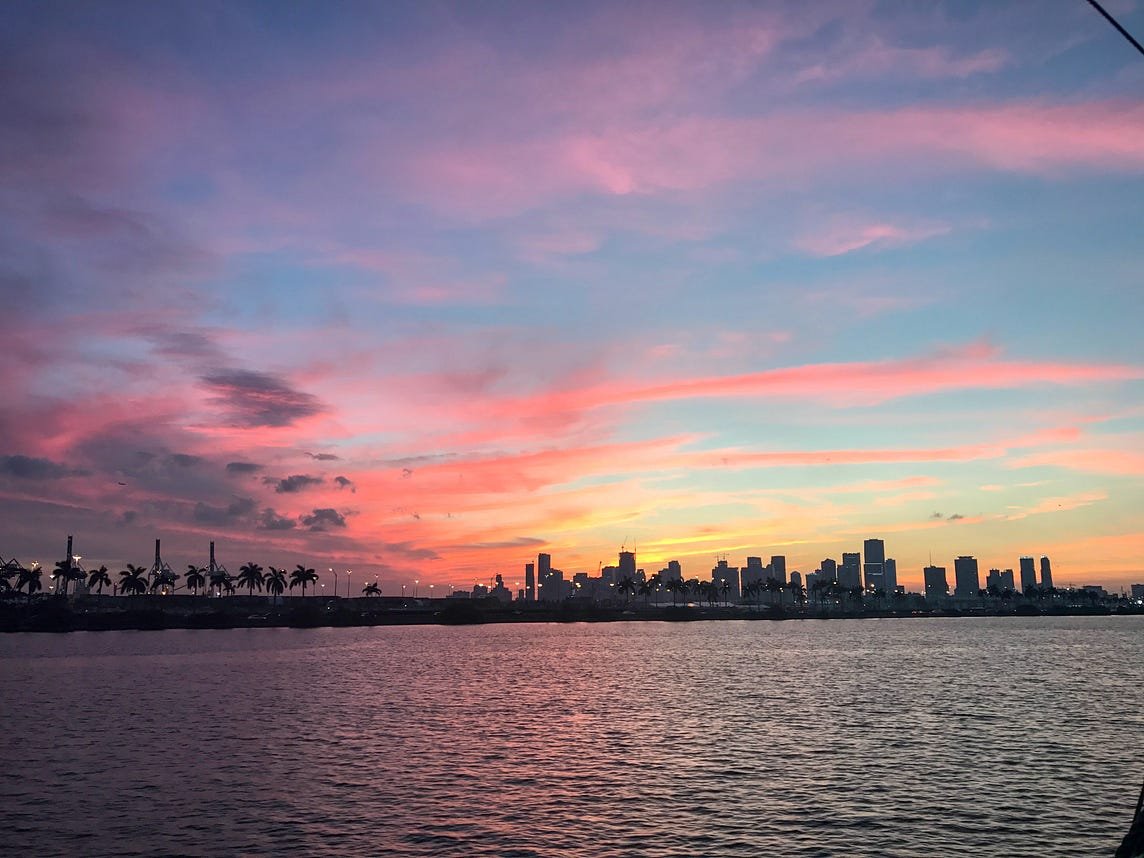 Cast Profiles & Personal Journeys Exploring the Unexpected Paths of Stars